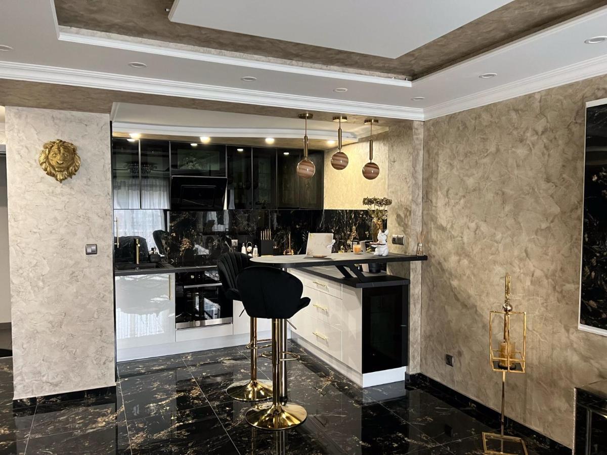 斯特拉斯堡Luxurynight公寓 外观 照片